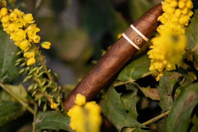 The Ultimate Guide to Roma Craft Cigars: Elevate Your Smoking Experience