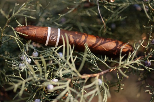 The Ultimate Guide to Roma Craft Cigars: Elevate Your Smoking Experience