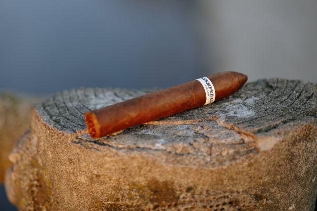 The Ultimate Guide to Roma Craft Cigars: Elevate Your Smoking Experience