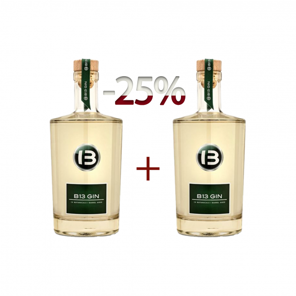 Combo Promotie Gin B13 1+1-25% off