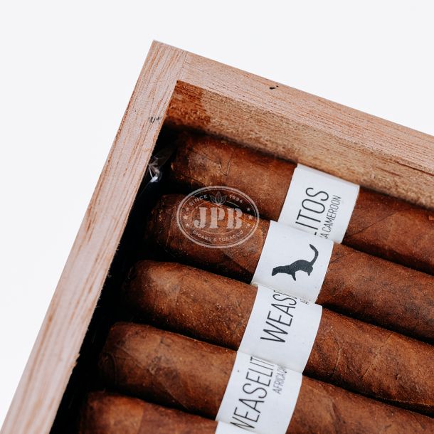 Weaselitos Baka Africa Cameroon 3 1/2 x 38 Half Lancero (100) 