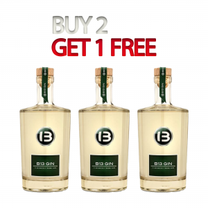 Combo Gin B13 2+1 Free