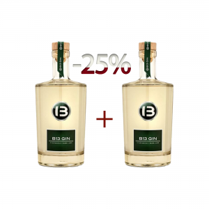 Combo Promotie Gin B13 1+1-25% off